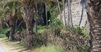 Δημ. Καλλούδης: Οι Ξενοδόχοι στη Ρόδο ενίσχυσαν οι κονομικά τους γιατρούς - Στην Κω τι κάνουν;
