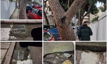 Ανησυχία πολιτών για επικίνδυνη κλίση δέντρου και καθίζηση οδοστρώματος στην οδό Ελ. Βενιζέλου