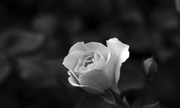 Σε κλίμα βαθιάς συγκίνησης η κηδεία του εκλιπόντος Προέδρου Εφετών Δωδεκανήσου Χριστόδουλου Κυρτσίδη