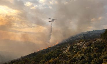 Ν. Δικταπανίδης: Η φωτιά στο Πυλί σβήστηκε χάρη στους δρόμους που ανοίχτηκαν για τις ανεμογεννήτριες