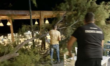 Αγιο είχαν επισκέπτες και θαμώνες εστιατορίου στο Μαστιχάρι - Έσπασε μεγάλος κλώνος δέντρου δίπλα τους