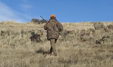 Μειώνονται οι επιτρεπόμενες ημέρες για κυνήγι στη Νίσυρο