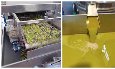 Να δούμε ποιος θα (την) βγάλει λάδι φέτος: Υποχρεωτική η Δήλωση Συγκομιδής & η εγγραφή στο Ελαιοκομικό Μητρώο για ιδιοκτήτες ελαιώνων με 21 (και πάνω) δέντρα