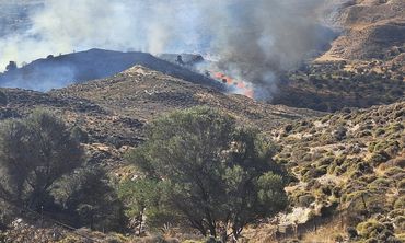 Άμεση κινητοποίηση της Πολιτικής Προστασίας Δήμου Κω για τη φωτιά στην Καρδάμαινα