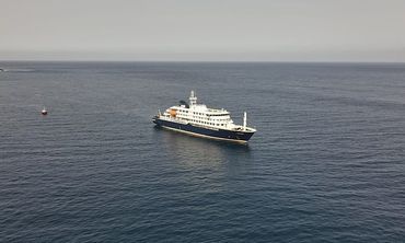 Χανταϊός: Ο παγκόσμιος συναγερμός, οι μύθοι και οι αλήθειες