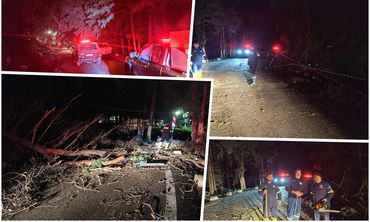 Πτώση δέντρου στη Ζιά - Επέμβαση της Πυροσβεστικής και της Πολιτικής Προστασίας Κω