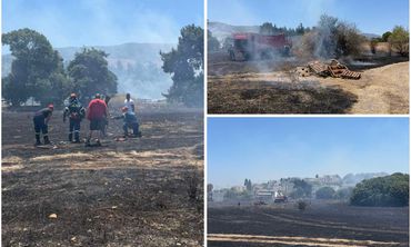 Mεγάλη κινητοποίηση για φωτιά στο Ψαλίδι - Τέθηκε άμεσα υπό έλεγχο χάρη στις συντονισμένες ενέργειες