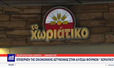Χωριάτικο: Συνελήφθη ο ιδιοκτήτης αλυσίδας φούρνων για απάτη που αγγίζει τα 100 εκατ. ευρώ