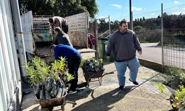 Πάνω από 2.000 φυτά σε δήμους, σχολεία και κοινότητες των νησιών από το Περιφερειακό Φυτώριο Νοτίου Αιγαίου
