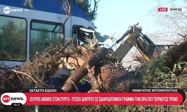 Πύργος Ηλείας: Δέντρο έπεσε σε τρένο προς Κατάκολο - Tραυματίστηκε ο μηχανοδηγός