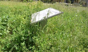 173.000 ευρώ για εργασίες καθαρισμού και αποψίλωσης αρχαιολογικών χώρων σε Ρόδο, Κω, Κάλυμνο και Σύμη