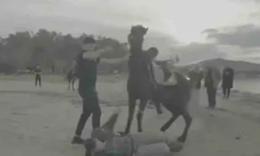 Ατύχημα για τον Άκη Πετρετζίκη: Έπεσε από άλογο στη διάρκεια γυρισμάτων (vid)