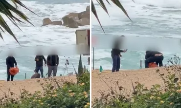 Πάφος: Βίντεο σοκ με κακοποίηση νεκρής χελώνας στην Πάφο - Ελεύθεροι οι τέσσερις εμπλεκόμενοι