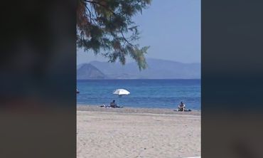 Μαγευτικό θέαμα σε παραλία της Κω – 4 δελφίνια χάρισαν μοναδικές στιγμές στους λουόμενους 