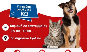Σεμινάριο Πρώτων Βοηθειών για Ζώα συντροφιάς στην Κω!
