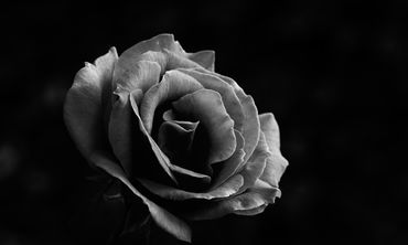 Σοκ στον δικαστικό και δικηγορικό κόσμο της Δωδ/σου – «Έφυγε» από τη ζωή ο Πρόεδρος Εφετών Χριστόδουλος Κυρτσίδης