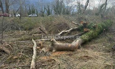 Λαμία: Νεκρός 68χρονος - Tον καταπλάκωσε δέντρο μπροστά στα μάτια της συζύγου του