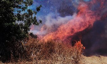 1.293.000 ευρώ στους δήμους της Δωδεκανήσου για δράσεις πυροπροστασίας μέσα στο 2026  