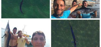 Ψαράδες στην Κέφαλο έπιασαν τον υποτιθέμενο “καρχαρία” (που ήταν βασιλική ζαργάνα)