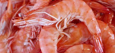 ΕΦΕΤ: Ανακαλούνται γαρίδες γίγας για σαλμονέλα πασίγνωστης εταιρείας
