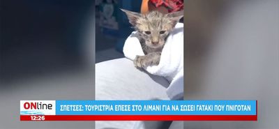 Σπέτσες: Τουρίστρια βούτηξε στο λιμάνι για να σώσει ένα γατάκι - Δεν την άφηνε ο Λιμενικός