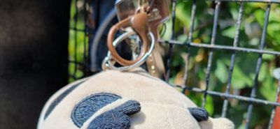 Βρέθηκαν τα εικονιζόμενα κλειδιά στο παρκάκι του θερινού Ορφέα 