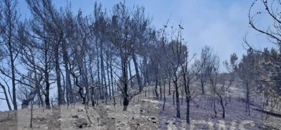 Χίος: Με 90 πυροσβέστες ενισχύονται οι δυνάμεις πυρόσβεσης – Σε κατάσταση έκτακτης ανάγκης το νησί