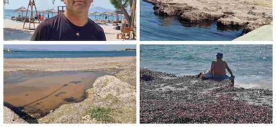 Παράπονα για τα φύκια στο Μαστιχάρι