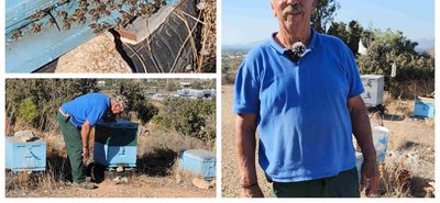 Καταστράφηκαν τα μελίσσια του συμπολίτης μας Γιάννη Τσίκνη (πιθανώς από δηλητηρίαση λόγω ψεκασμών)