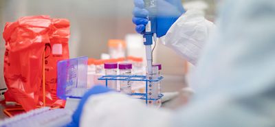 Τοξικός μύκητας της κατάρας των Φαραώ μετατρέπεται σε φάρμακο κατά της λευχαιμίας
