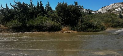 Aναγνώστης: Λύματα (ξανά) στον δρόμο στην Καρδάμαινα
