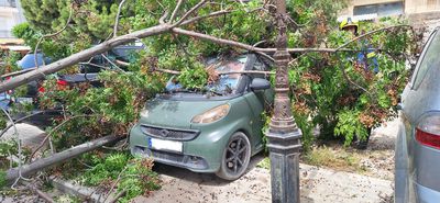 Πτώση δέντρου πάνω σε αυτοκίνητο οδό Πατάκου στην Κω
