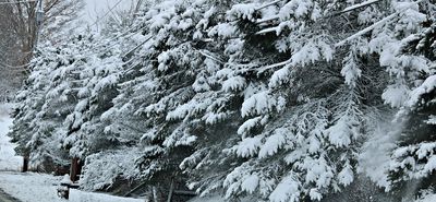 Έρχεται τσουχτερό κρύο τα επόμενα 24ωρα