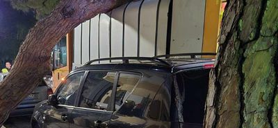 Πτώση δέντρου σε απορριμματοφόρο στην οδό Αρτεμησίας στην Κω