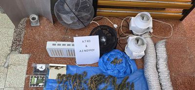 Συνελήφθη ημεδαπός στη Νίσυρο για καλλιέργεια εσωτερικού τύπου κάνναβης 