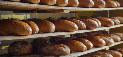 Λάρισα: Νεκρή 49χρονη γυναίκα σε φούρνο στο Δαμάσι – Εγκλωβίστηκε σε μηχάνημα