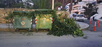 Αναγνώστρια: Κλάδεψε τα δέντρα του και έριξε τα κλαδιά στους κάδους