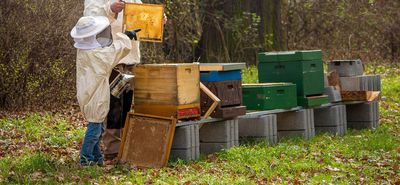 Καταγγελία του Μελισσοκομικού Συνεταιρισμού Κω - Κεφάλου για ανεξέλεγκτη χρήση φυτοφαρμάκων με αποτέλεσμα τη θανάτωση μελισσών