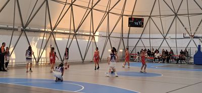 Την Κυριακή 1η Μαρτίου τα εγκαίνια του "θόλου" στην Καρδάμαινα