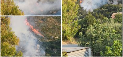 Συμβαίνει τώρα: Μεγάλη φωτιά στο Πυλί
