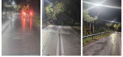 Πτώση δέντρου σε καλώδια της ΔΕΗ στο δρόμο προς Μαστιχάρι - Αντιμάχεια 