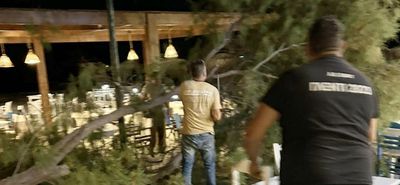 Αγιο είχαν επισκέπτες και θαμώνες εστιατορίου στο Μαστιχάρι - Έσπασε μεγάλος κλώνος δέντρου δίπλα τους