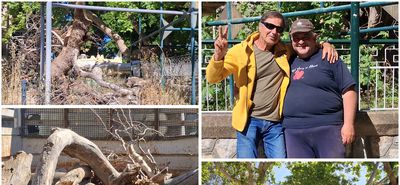 Παρέμβαση του Δήμου Κω στην Πλατεία Πλατάνου