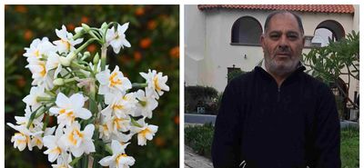 Τα "νερακίζια" της Κω γεμίζουν αρώματα και χρώματα τα σπίτια του χειμώνα