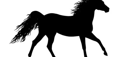 Αναγνώστης: Άλογο στο Μαρμάρι παραμένει εδώ και 3 ημέρες χωρίς νερό