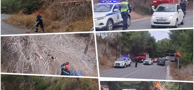 Έπεσε δέντρο στον δρόμο στις «Πόρτες» Αντιμάχειας – Από θαύμα δεν σημειώθηκε τραυματισμός