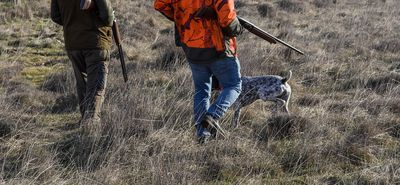 Κυνηγετικός Σ/γος Κω για το κυνήγι στη Νίσυρο: Η θήρα ρυθμίζεται από το Υπ. Περιβάλλοντος και όχι από το Δημ. Σ/λιο 
