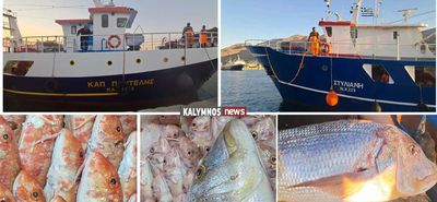 Με καθυστέρηση 10 ημερών σήκωσαν άγκυρες οι “μηχανότρατες” της Καλύμνου – Γέμισαν με φρέσκα ψάρια οι πάγκοι των ιχθυοπωλείων