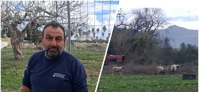 Μ. Μανιάς (Πρόεδρος Κτηνοτρόφων Κω): Δεν πήραμε αυτά που θέλαμε – Δεν καταλαβαίνει η Κυβέρνηση τι περνάμε…