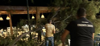 Αγιο είχαν επισκέπτες και θαμώνες εστιατορίου στο Μαστιχάρι - Έσπασε μεγάλος κλώνος λόγω των ανέμων